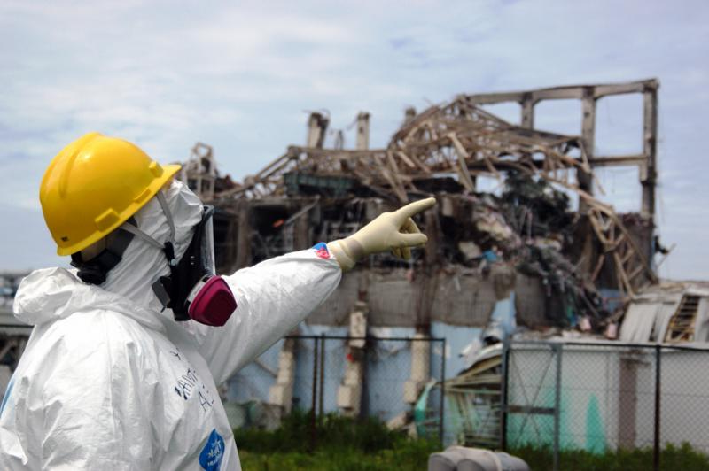 Tokyo Electric Power Co (TEPCO)