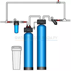 Runxin Q 1,3 Birm NaFG   