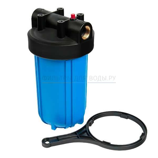 Big Blue 10'' Canature